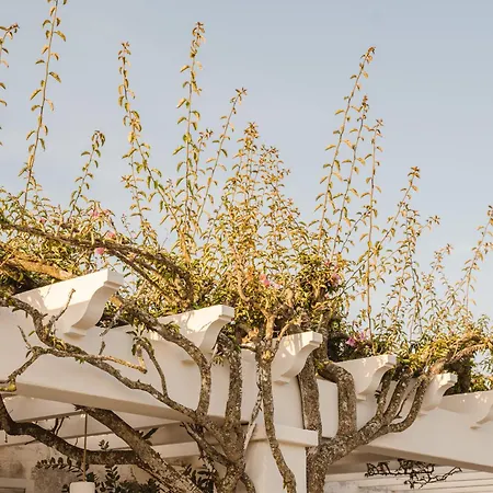 Morvedra Nou Luxury Boutique - Adults Only Otel