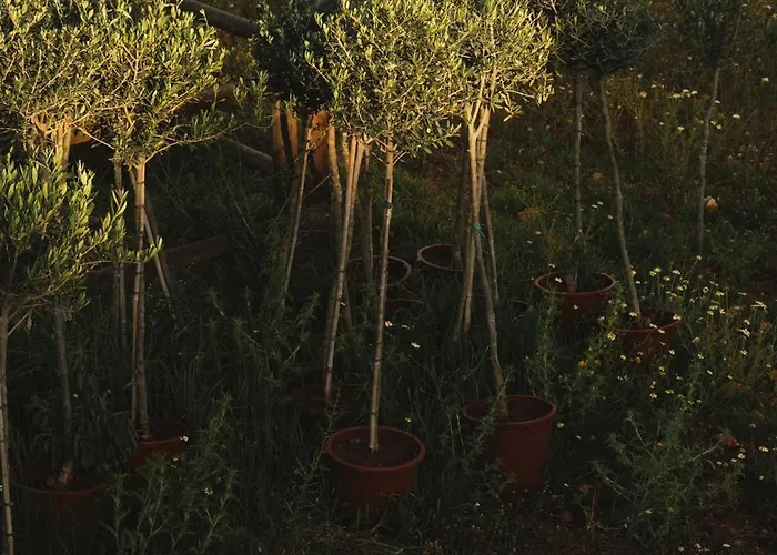 Morvedra Nou Luxury Boutique - Adults Only