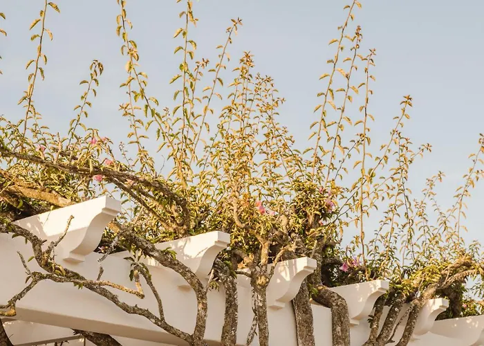 Morvedra Nou Luxury Boutique - Adults Only Hotel